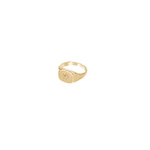 Load image into Gallery viewer, HEDINA 18K GOLDPLATED
