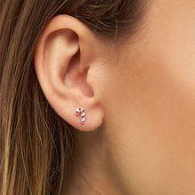 Load image into Gallery viewer, SUGAR CANE EARRING SILVER