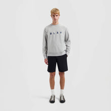 Load image into Gallery viewer, EMBROIDERY CREWNECK