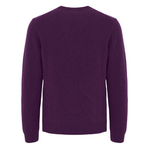 CFKARL CREW NECK BOUNTY KNIT