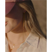 Load image into Gallery viewer, EARRINGS ZEEBRIES
