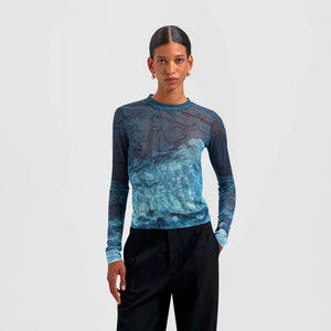 SCRIPT AOP MESH TOP